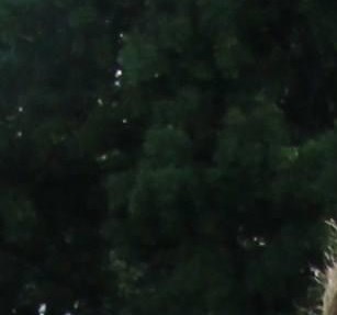 David Terry Obituary Davenport, IA