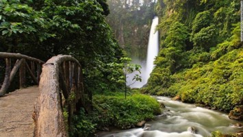 Obituary of Thomas Mckinley Hale