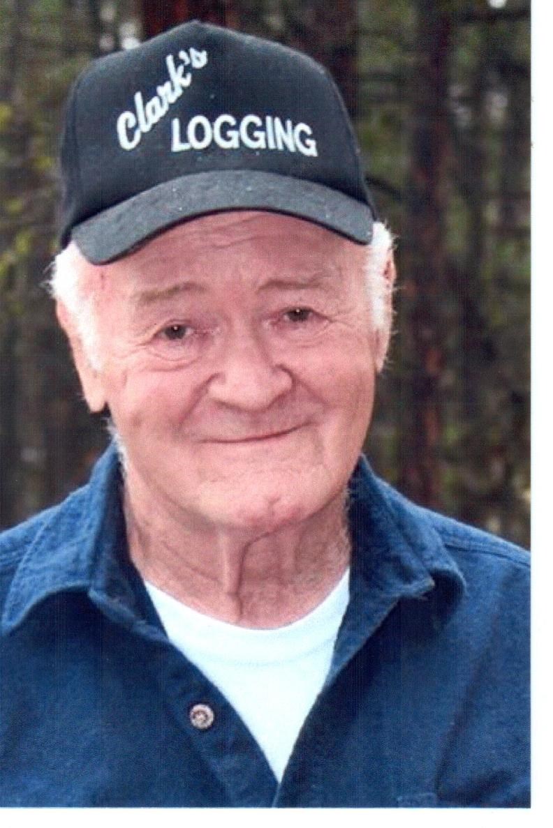 Obituary of David Lloyd Clark