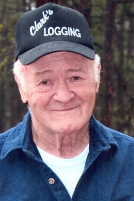 Obituary of David Lloyd Clark