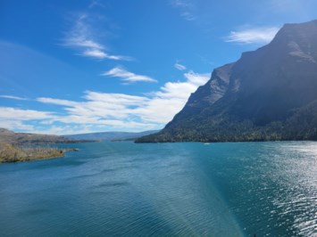 Obituary of Enrique Partida Morales