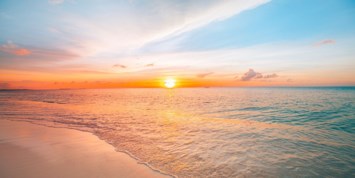 Obituary of Lee Marshall Frankel