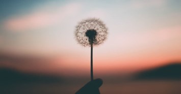 Obituary of Mary Irene Saavedra