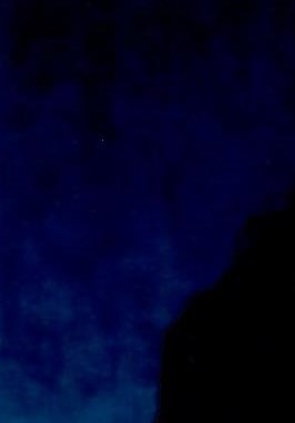 Vicki Cohen Rhea Obituary Pacific Grove CA vicki-cohen-rhea-obituary-pacific-grove-ca