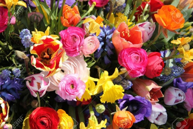 Leon Manus Obituary Nashua Nh Leon Manus Obituary Nashua Nh