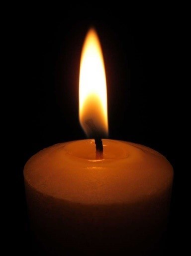 Obituary of Ann Marie Scott