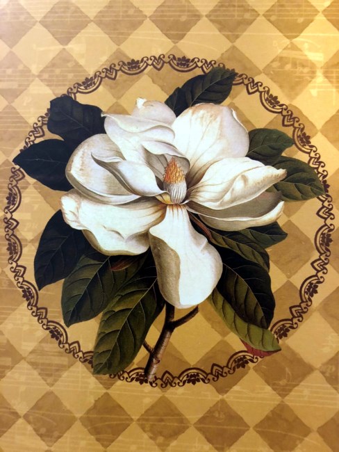 Obituary of Ethel Anderson Money