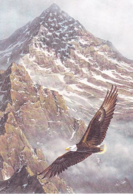 Obituary of Robert DeMendonca