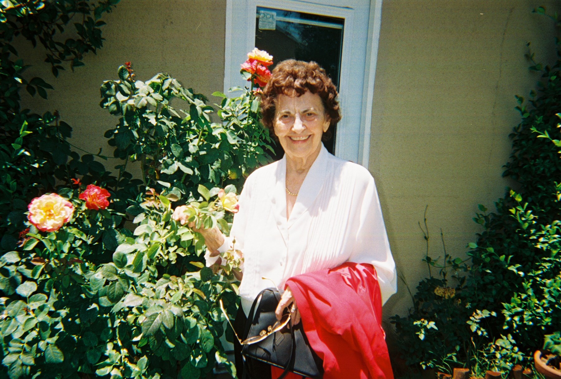 Obituary of Helen Elaine Hogan