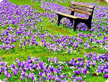 Obituary of Martha Buss