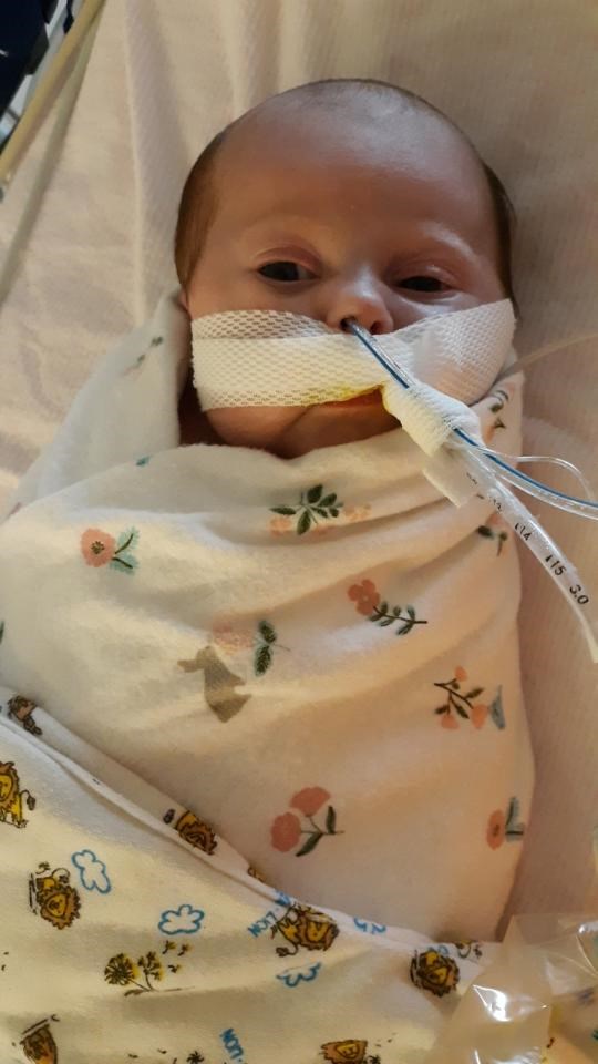 Obituary of Evelyn Danielle  Starner