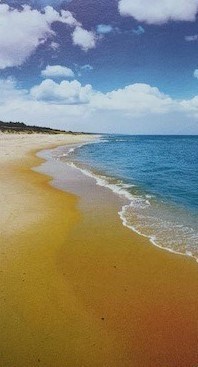 Obituary of Shawn Monroe White