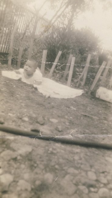 Natividad Esquivel Obituary San Antonio Tx