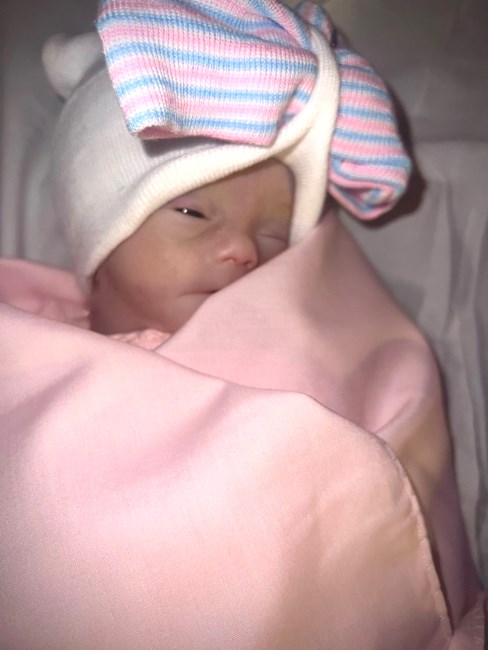 Obituary of Rory James Goo