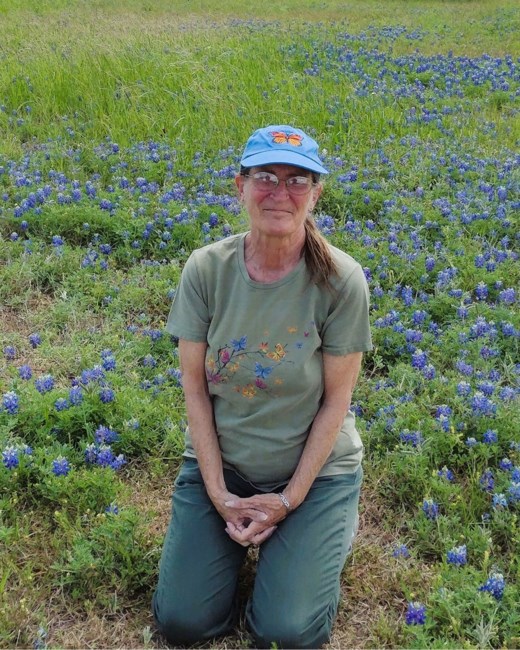 Obituary of Theresa Louise Mears