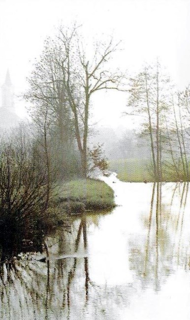 Obituary of Phyllis M. Chin Loy