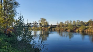 Obituary of Carolyn Muriel Ziegler