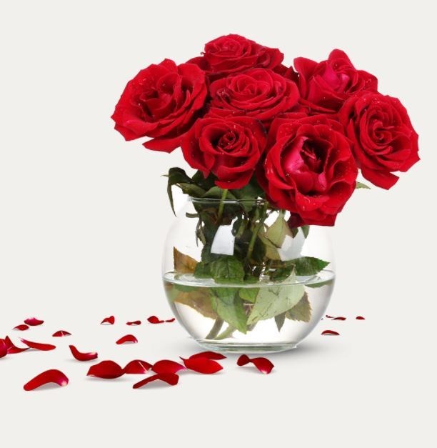 Obituary of Ruth Hertha Kohler