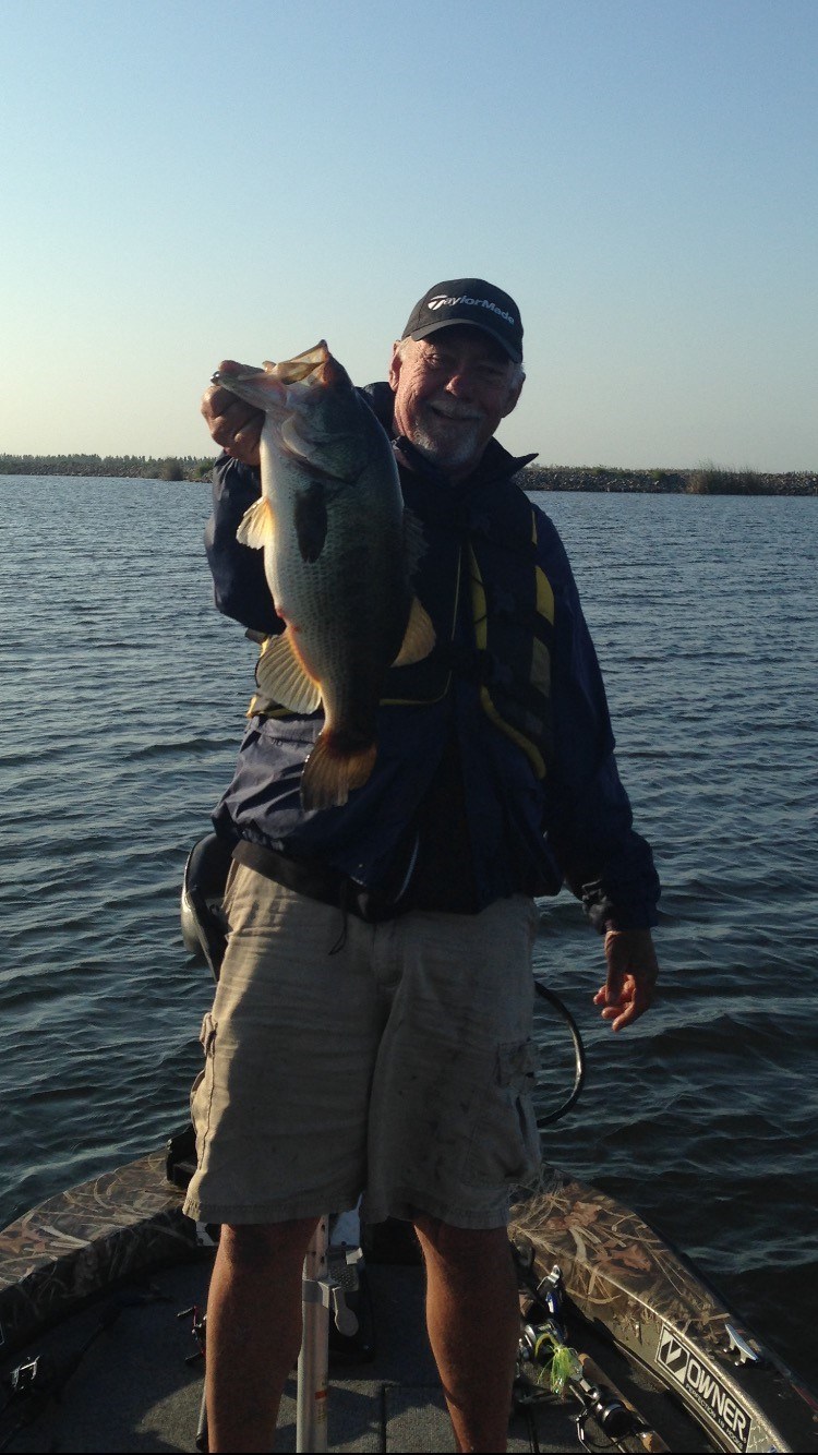 Obituary of Michael Melvin Whitaker