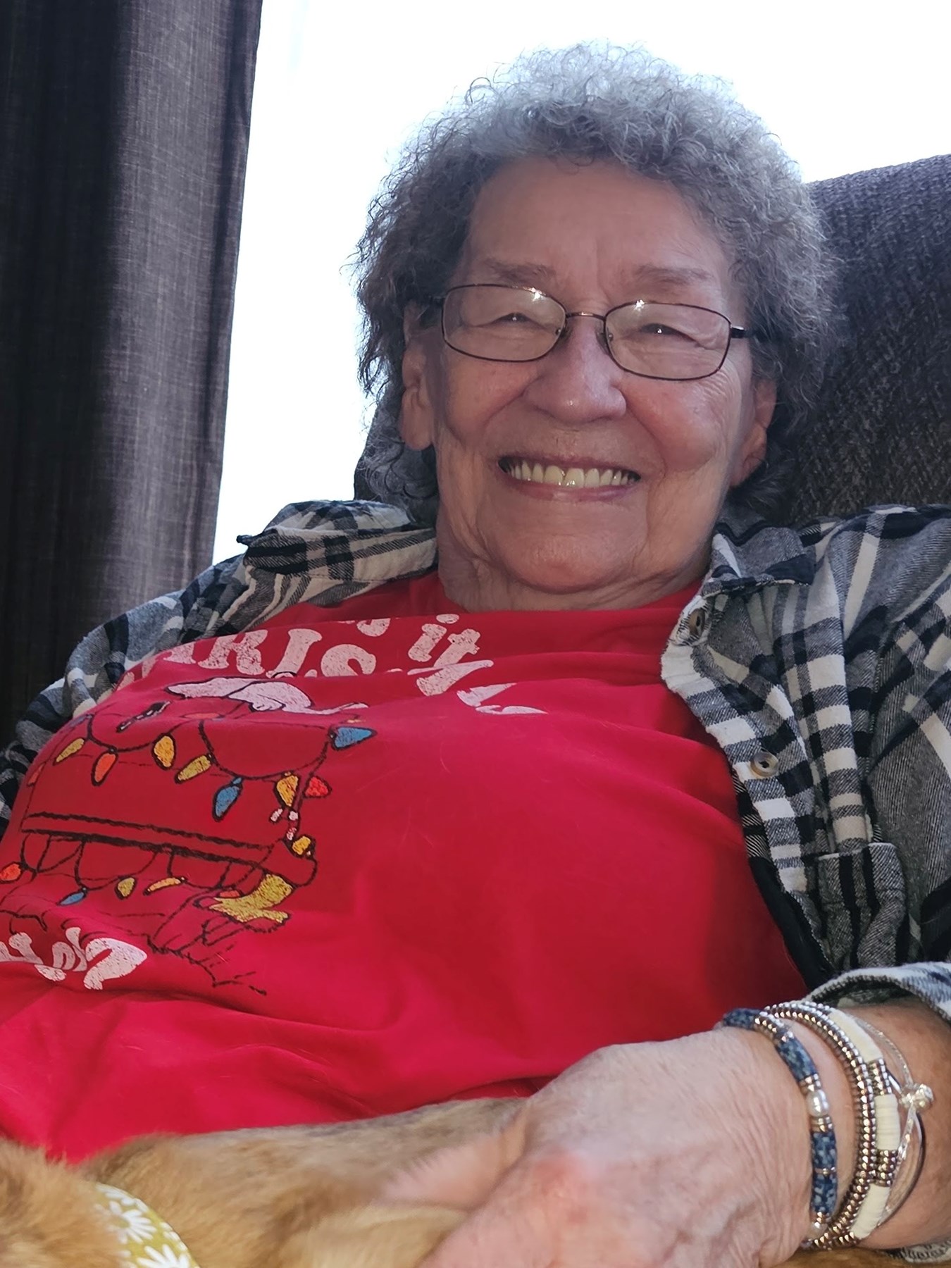 Obituary of Sharon A. Nemtusak