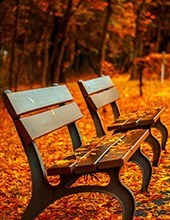 Obituario de Dennis L. Anderson