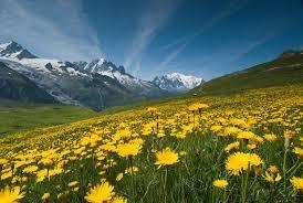 Obituary of Freda Joanne Temple