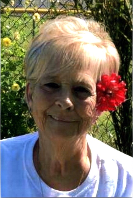 Obituary of Diane Patricia DeSchino
