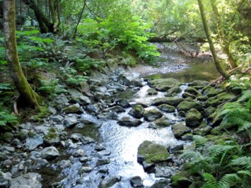 Obituary of Randall Kenneth McCauley