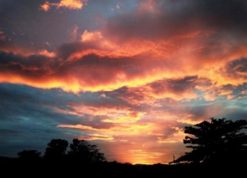 Obituary of Fredric William Theurkauf