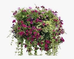 Obituary of Patricia Ann Howard