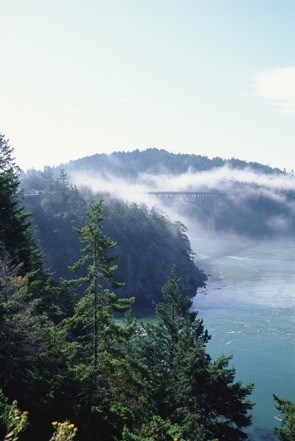 Obituary of Bobby A Haney Jr.