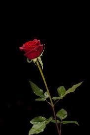 Obituary of Robert Alfonso Huerta