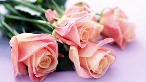 Obituary of Evelyn Leon