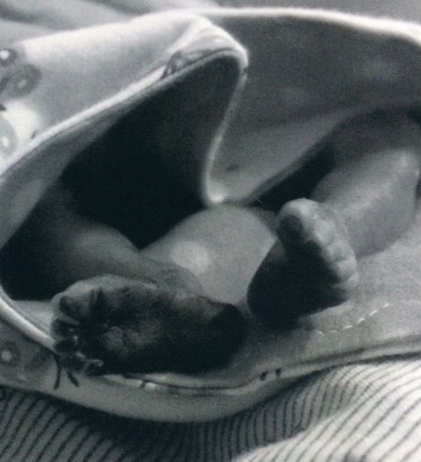 Obituary of Amanda Everleigh Williams