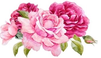 Obituary of Betty Gail Earnest