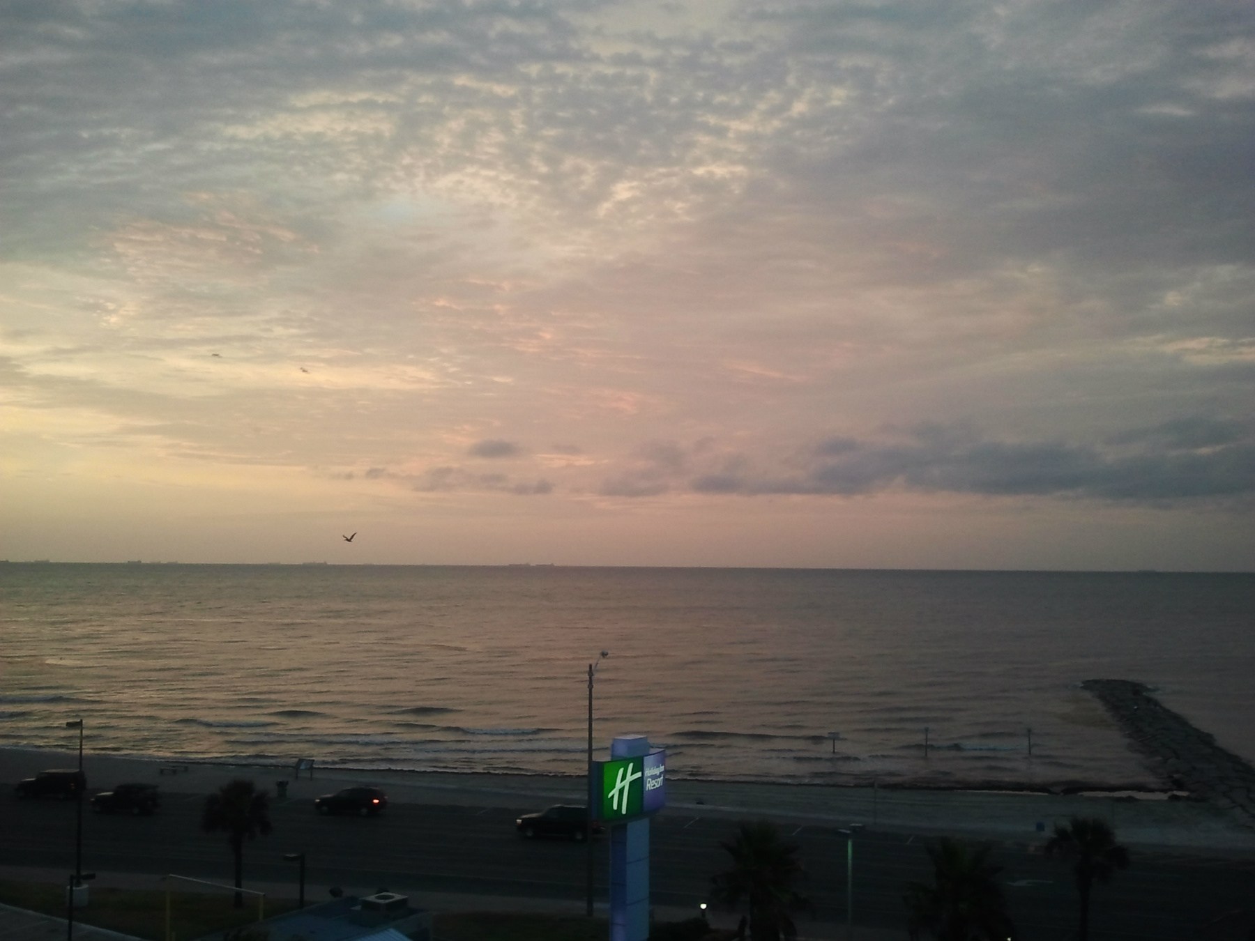 Obituary of Sharon Carol Crisler