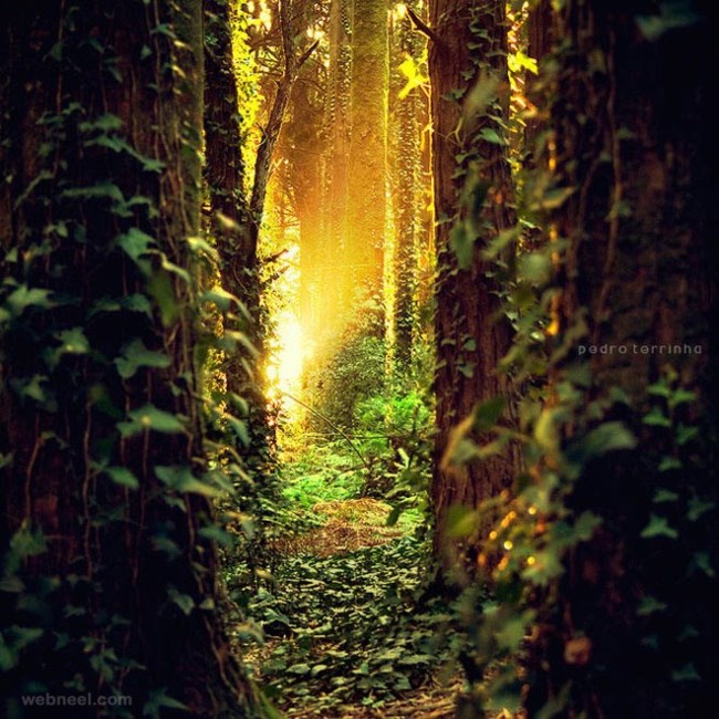 Obituary of Ms. Evelyn Jeanette Ralston