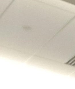 Jason Dunn Obituary - Irmo, SC