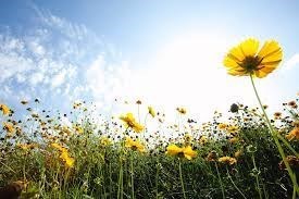 Obituary of Rest In Power