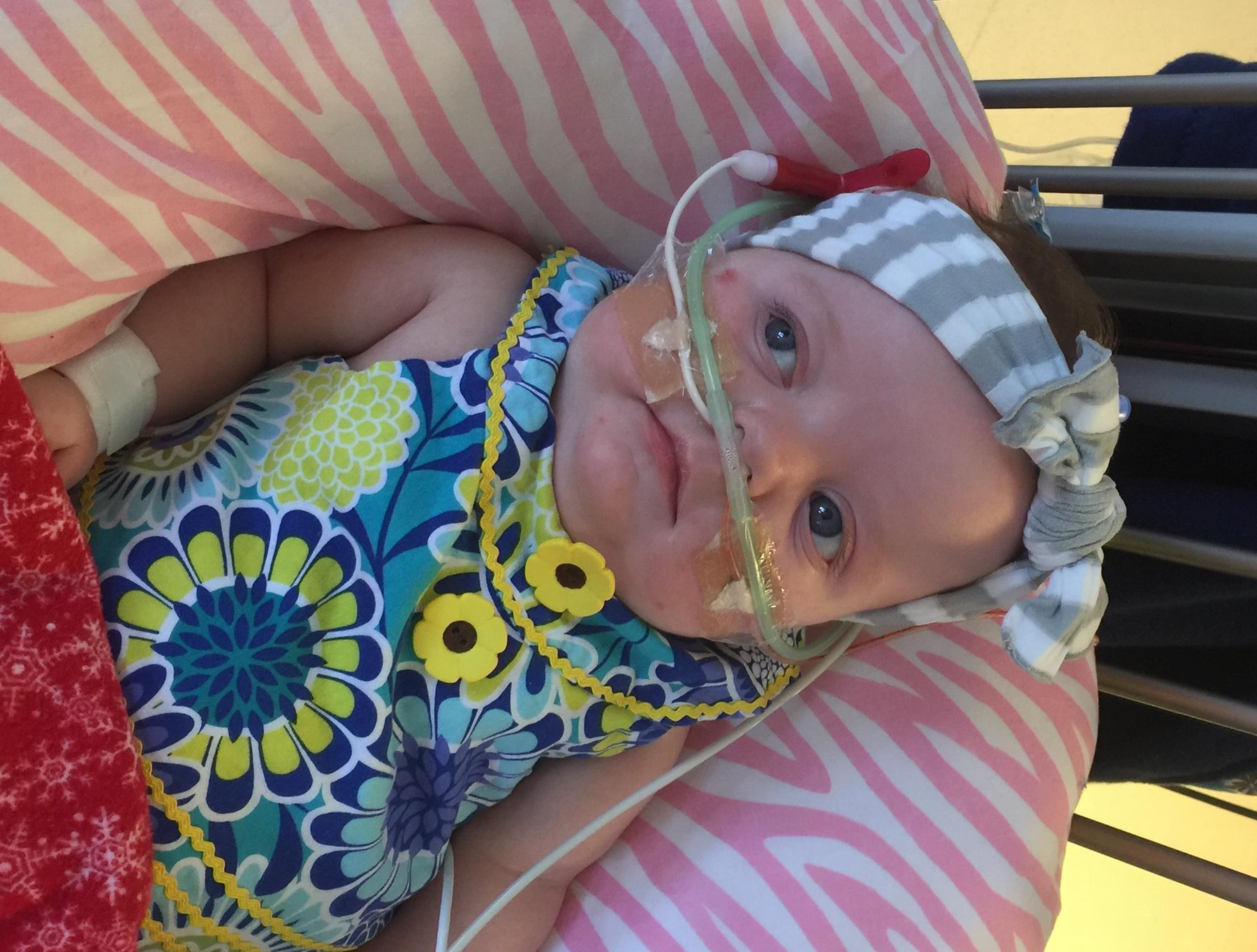 Obituary of Madelyn "Maddy" Drew Schultze