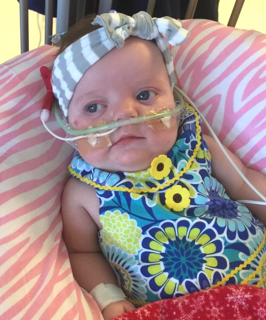 Obituary of Madelyn "Maddy" Drew Schultze