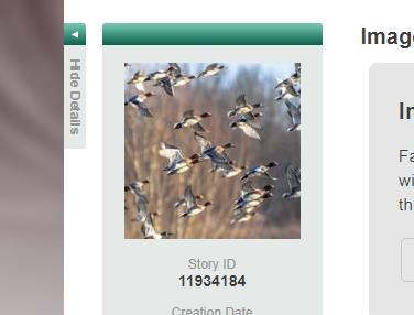 Obituary of Pedro Ángel Oliveras Reyes