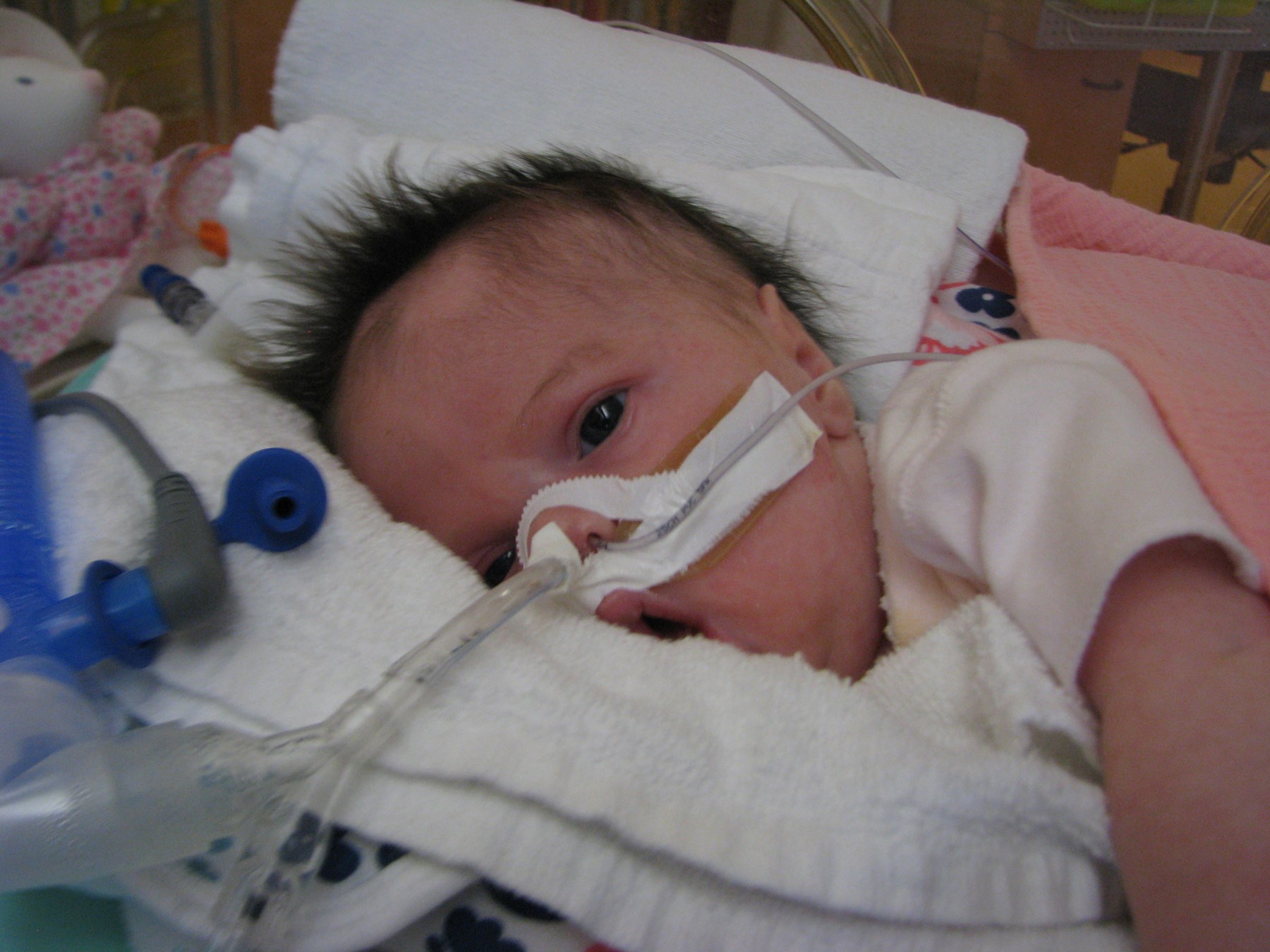 Avis de décès de Aurélie Bourret