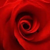 Obituary of Michael Jeffery Brewer