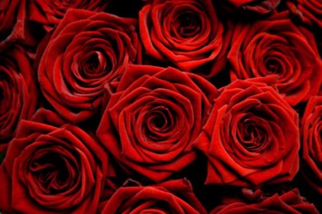 Obituary of Dolores Douso