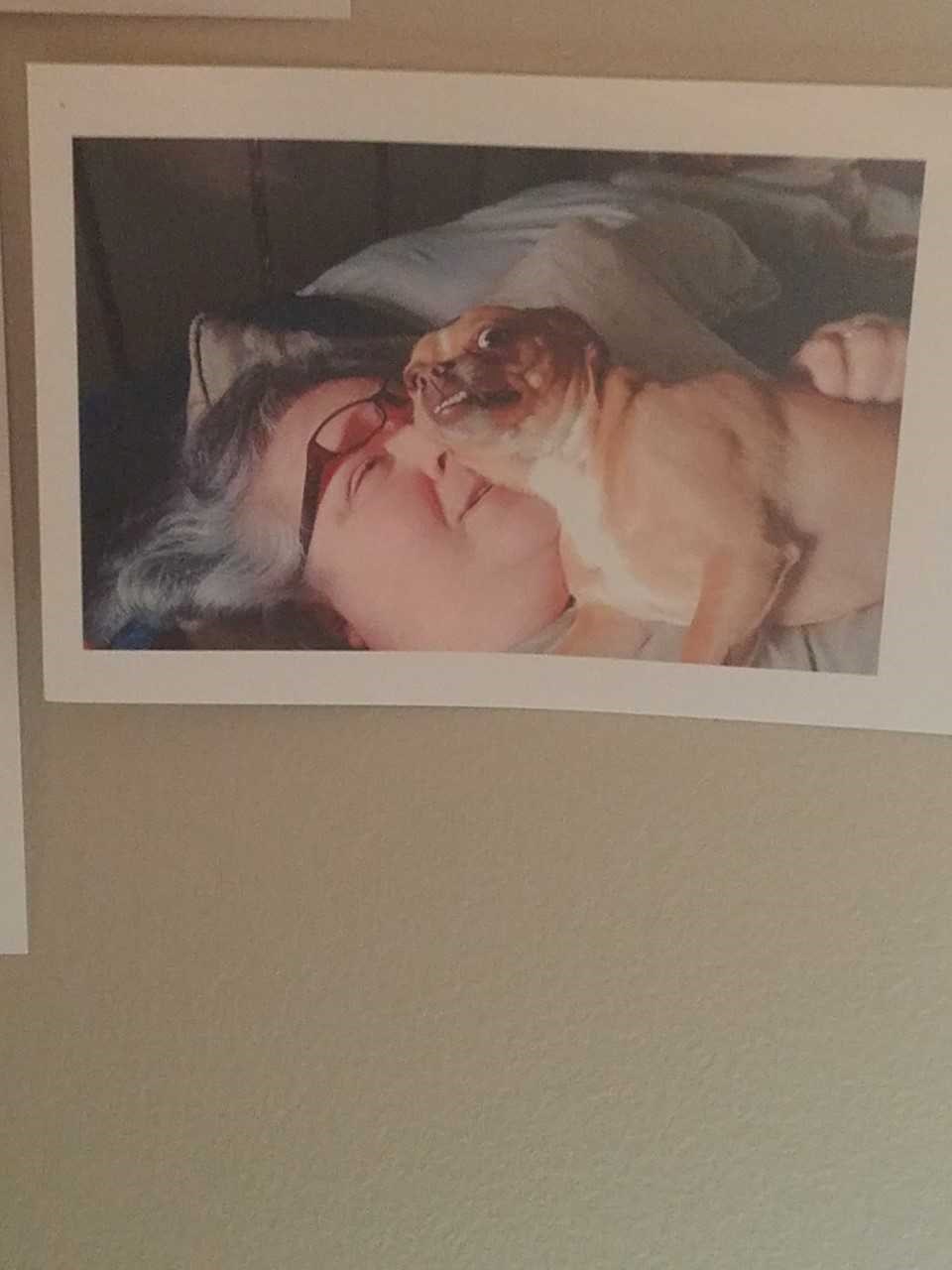 Obituary of Cheryl Lynn Ashbrook