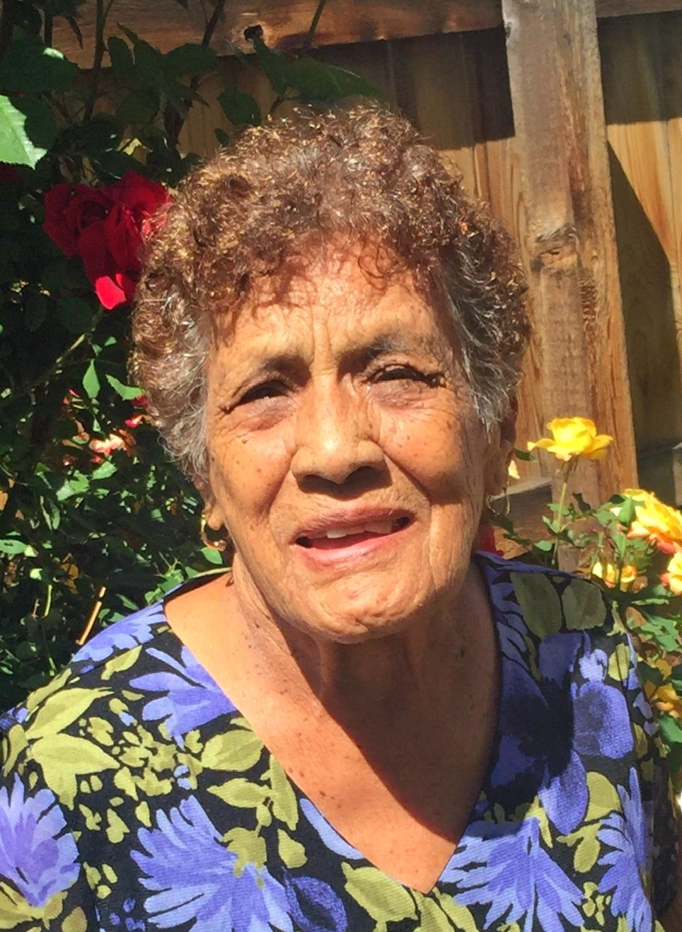 Tomasa Romero de Santa Cruz Obituary Wheat Ridge, CO