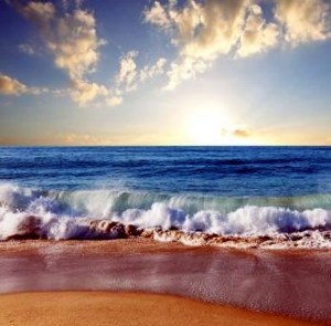 Obituary of Charles E. Hill