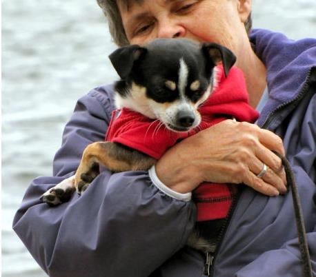 Obituary of Judith Anne Wellman