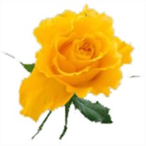 Obituary of Rita May Roberts